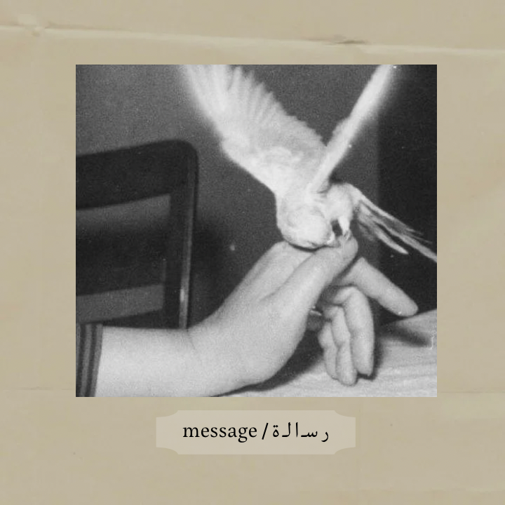 رسالة - message
