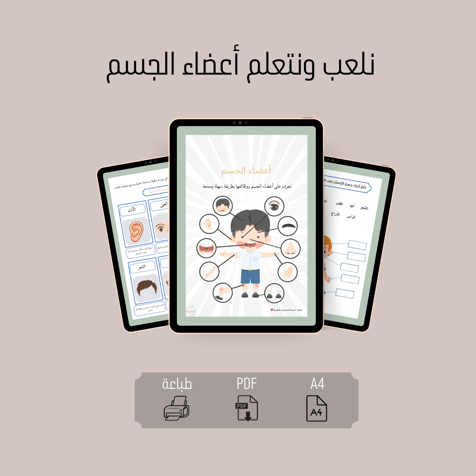 نلعب ونتعلم أعضاء الجسم