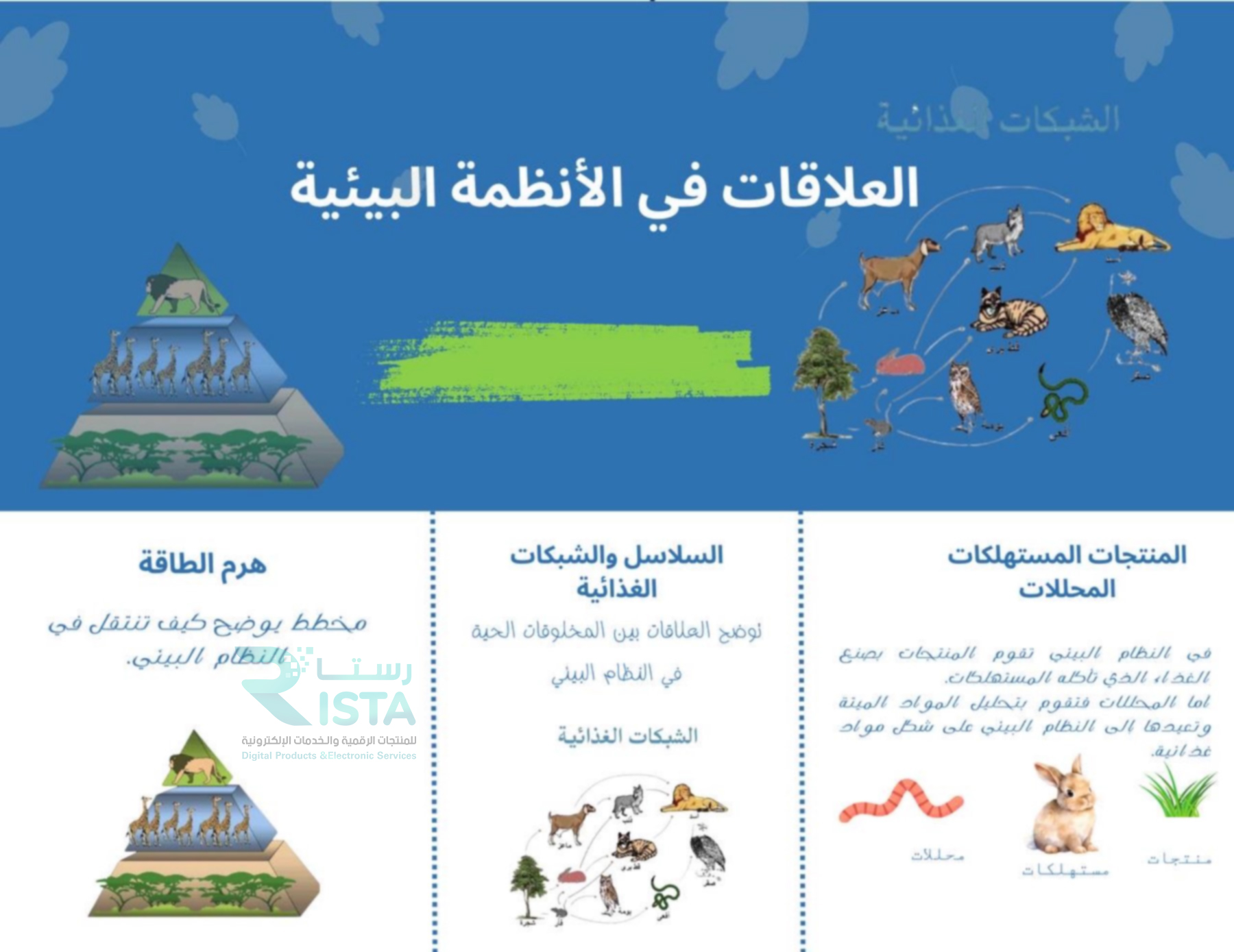 مطوية العلاقات في الأنظمة البيئية علوم رابع ابتدائي  الفصل الدراسي الأول