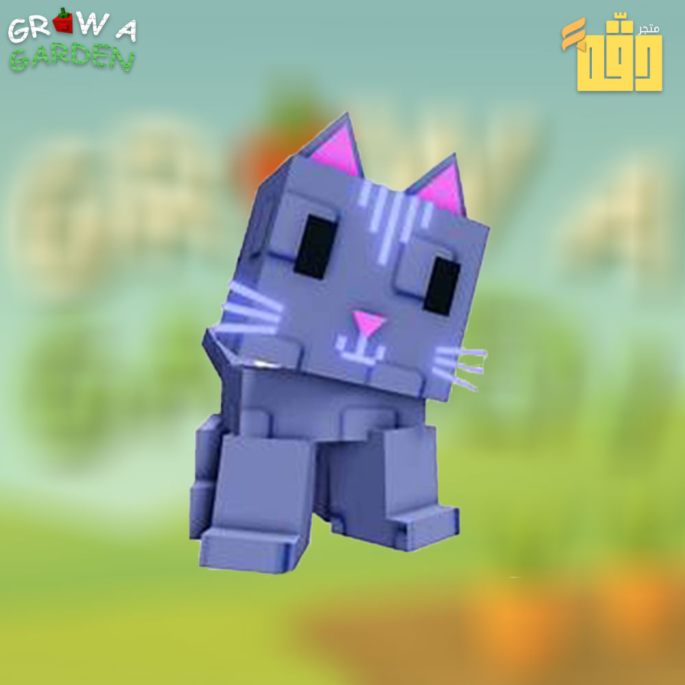 moon cat