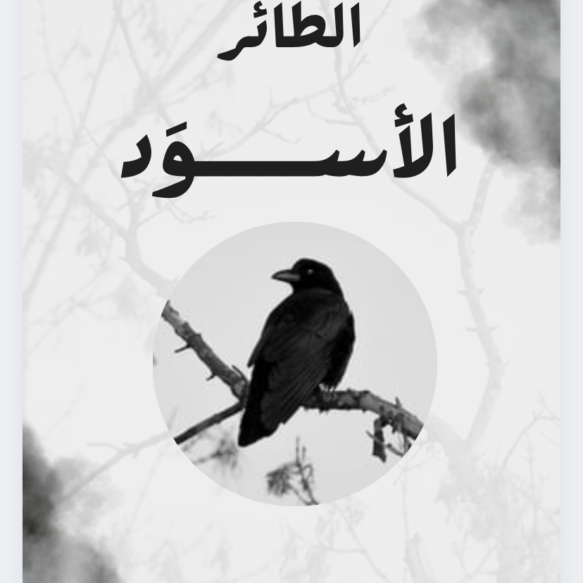 الطائر الأسود