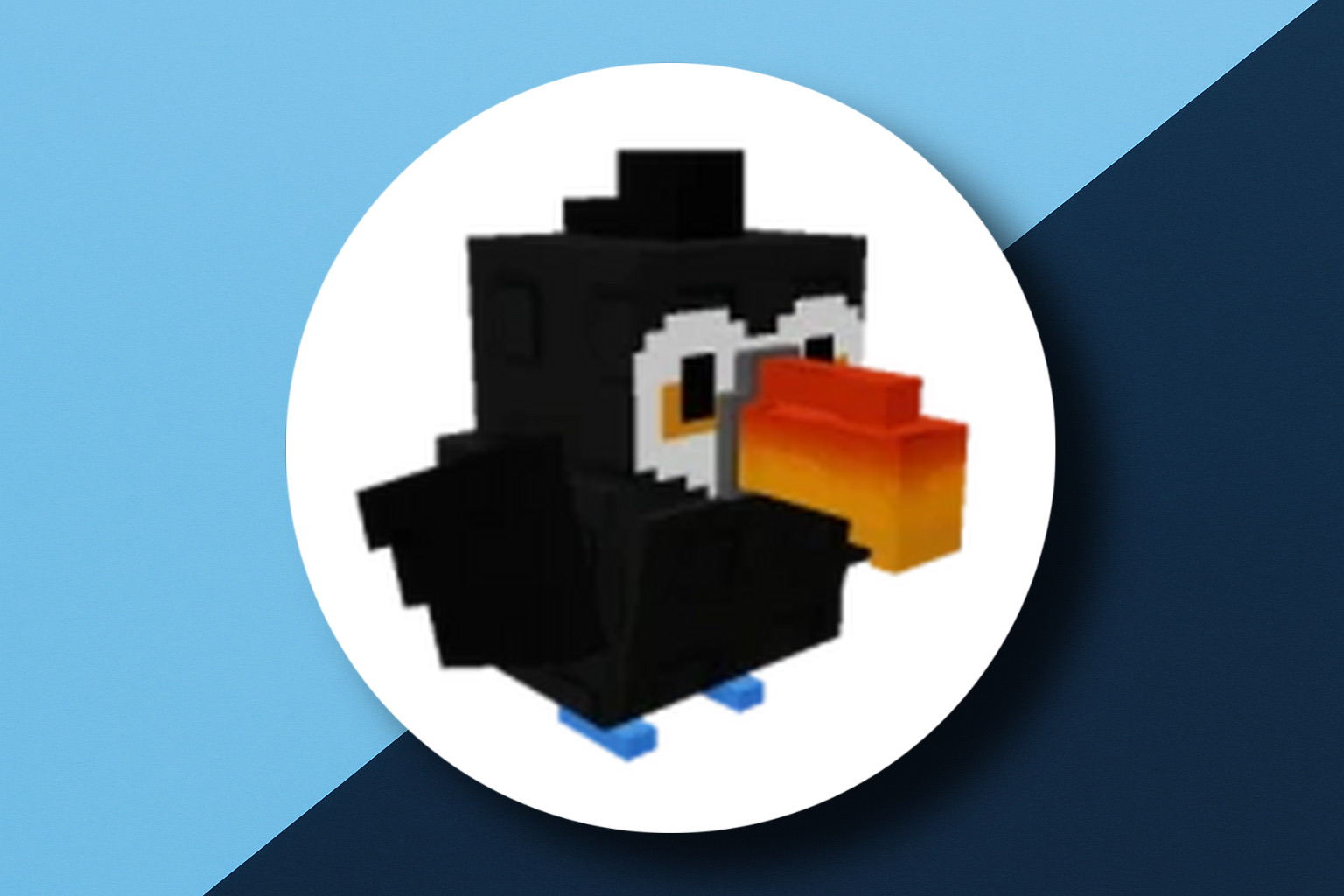 Toucan