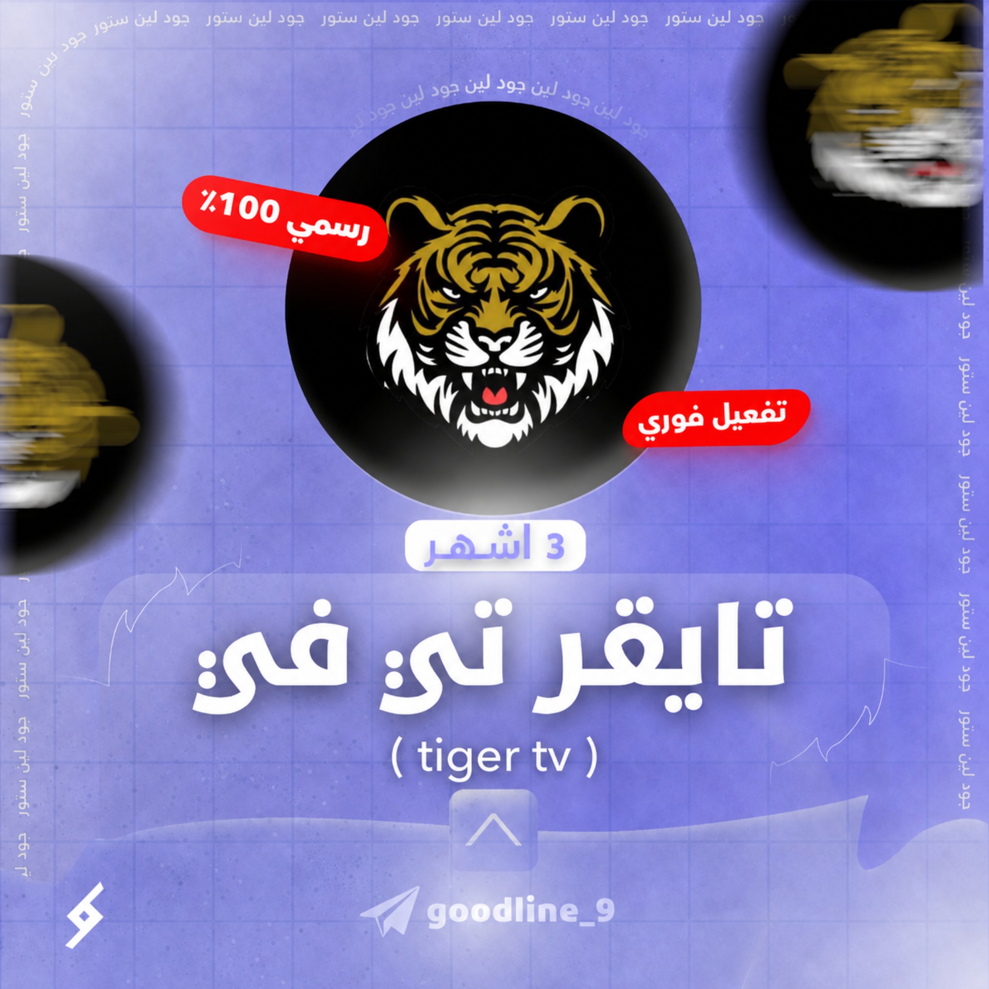 تايجر TV لمدة 3 اشهر
