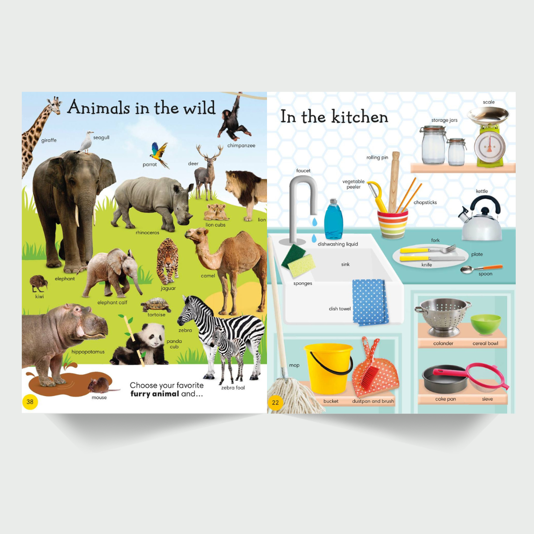 1000 كلمة مفيدة إنجليزية للمبتدئين والاطفال.