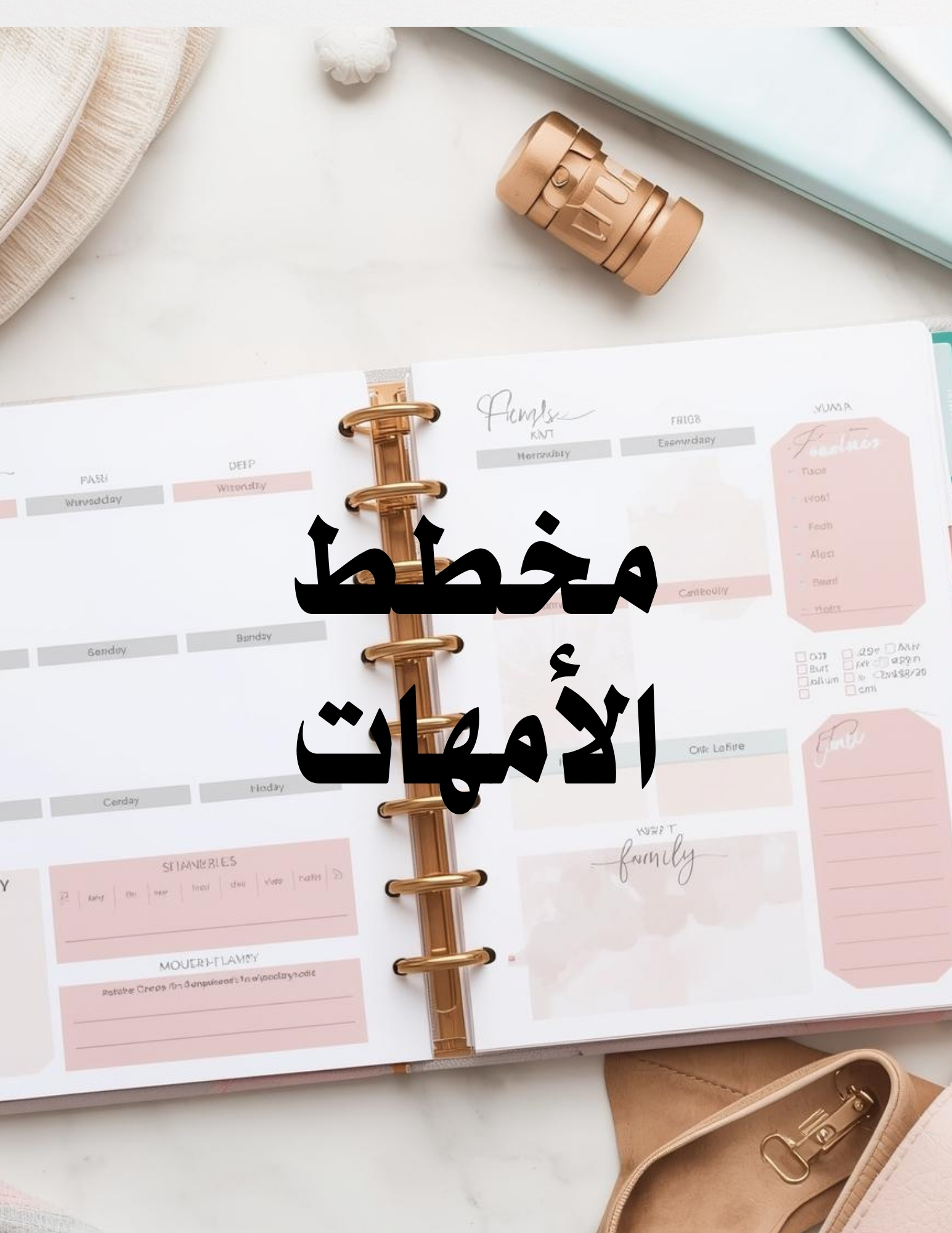 المخطط الشامل لأمهات