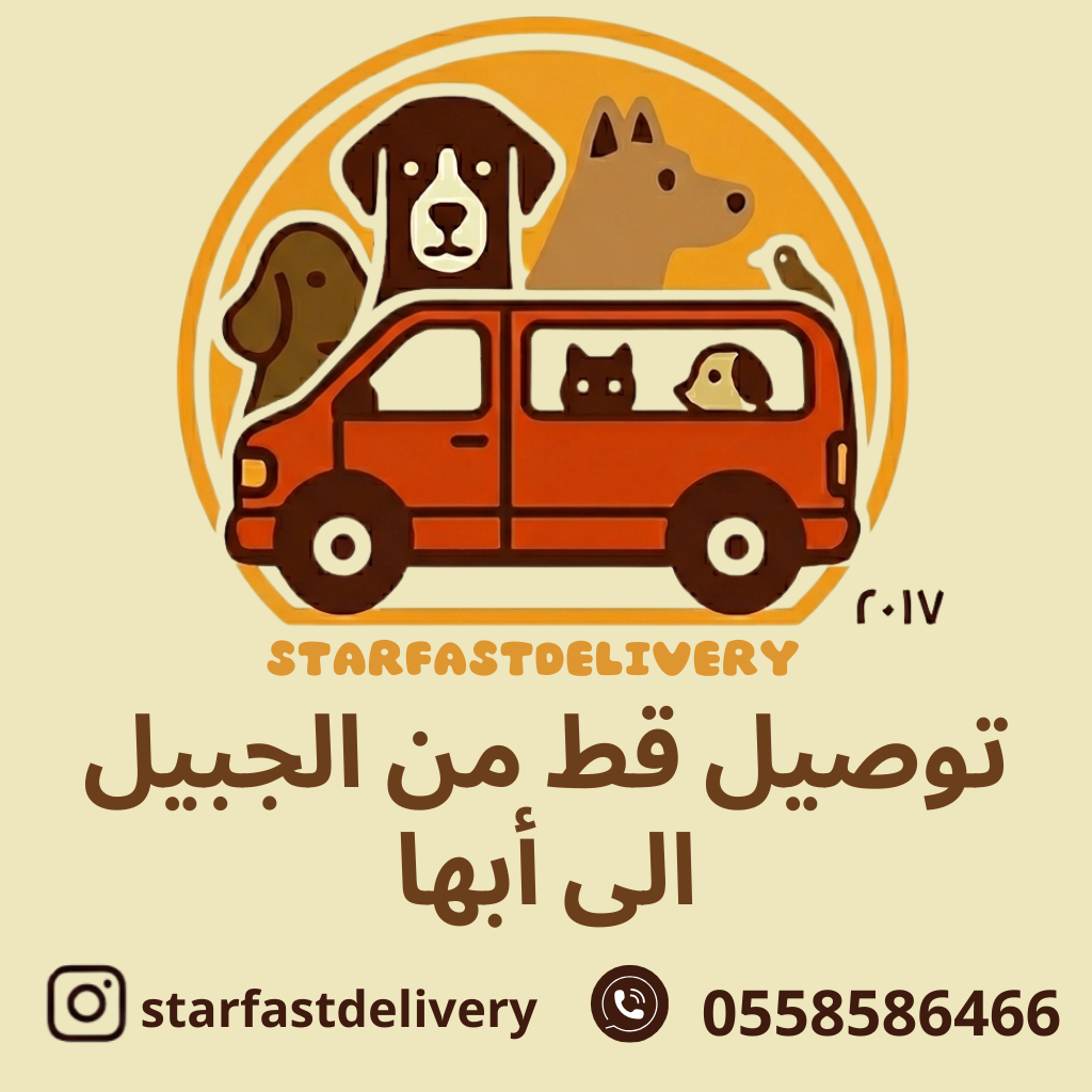 توصيل قط من الجبيل لأبها