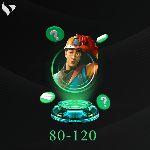 Fortnite 80-120 Skins