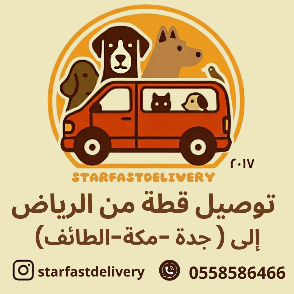 توصيل قطة من الرياض( لجدة -مكة-الطائف)