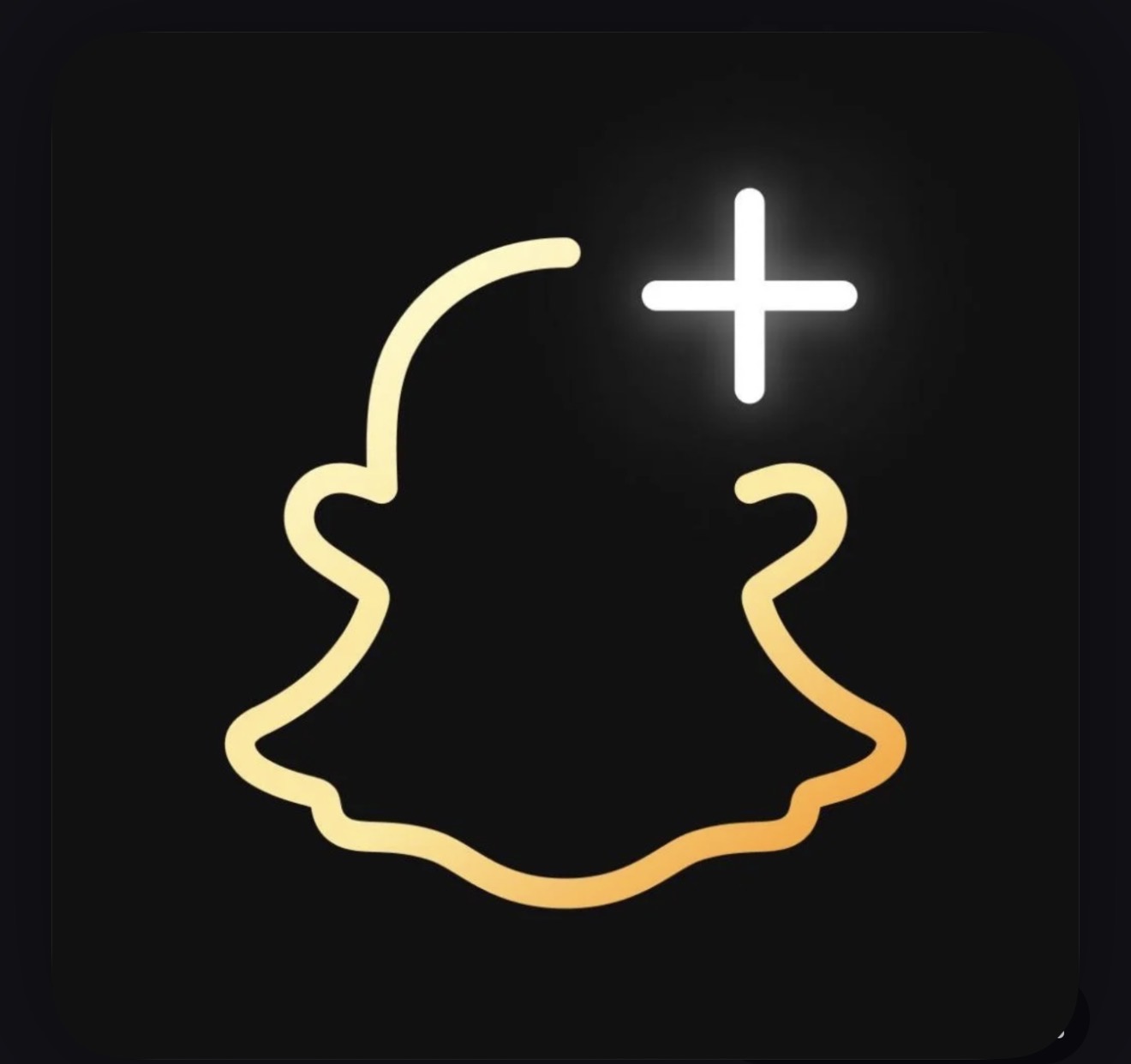 اشتراك سناب بلس سنة كامله ( رسمي )