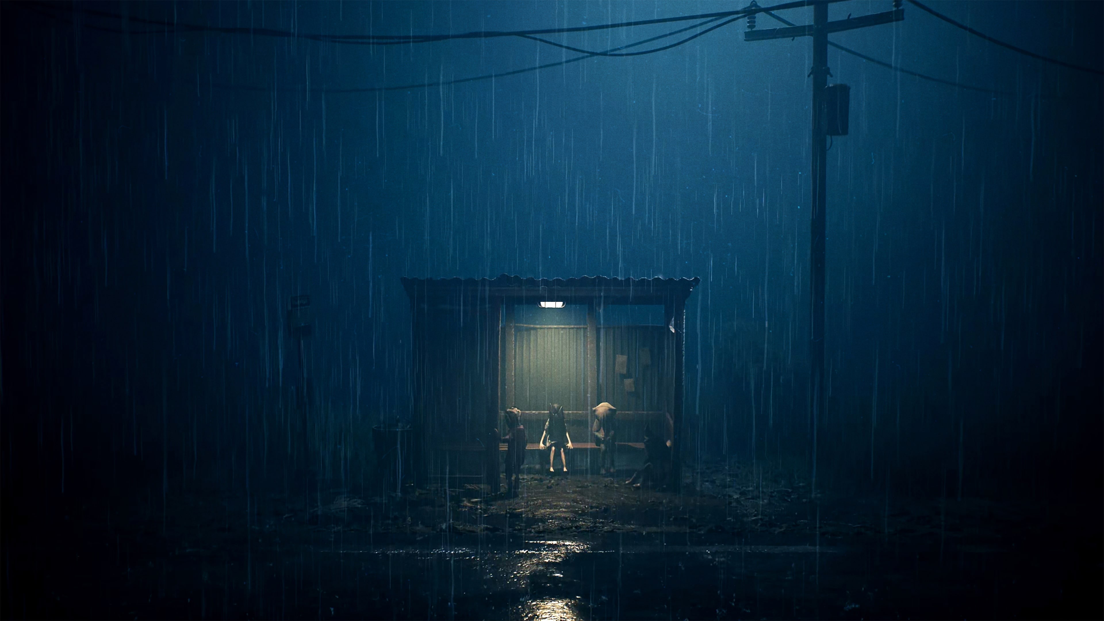 REANIMAL ايجار