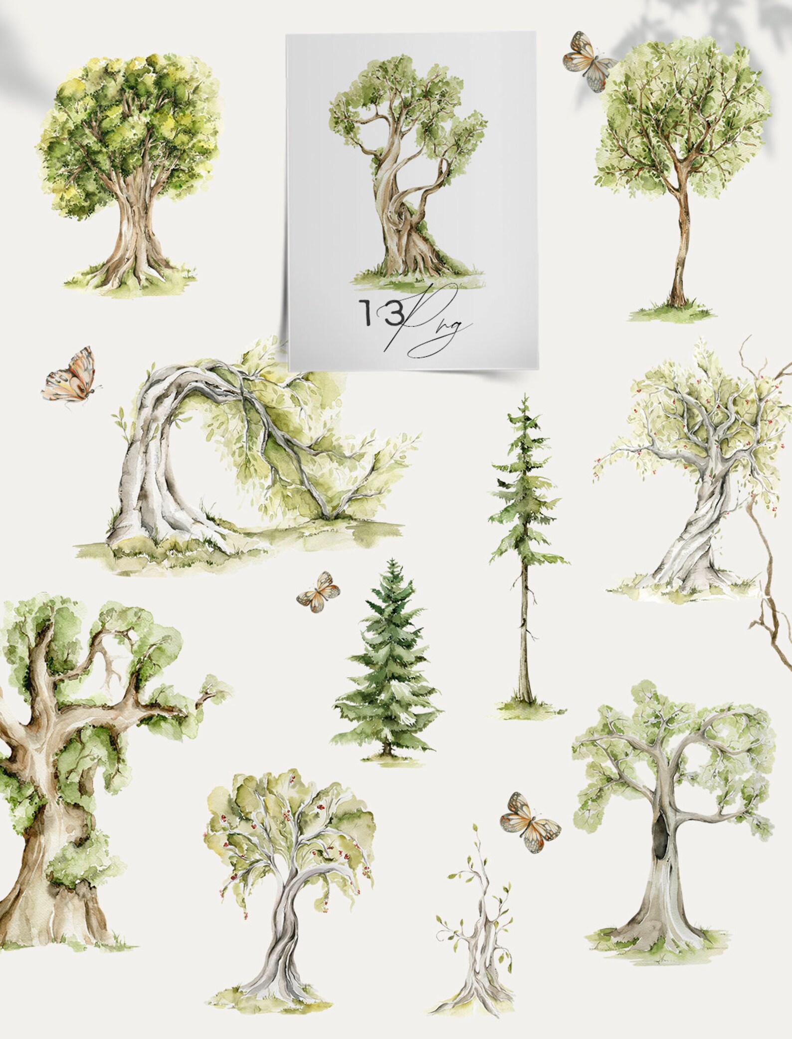 عناصر فنية غابة شجرة مائية غابة