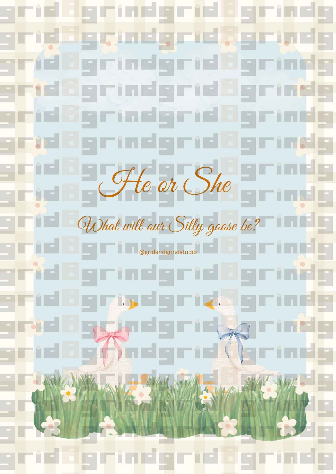 Silly goose themed gender reveal