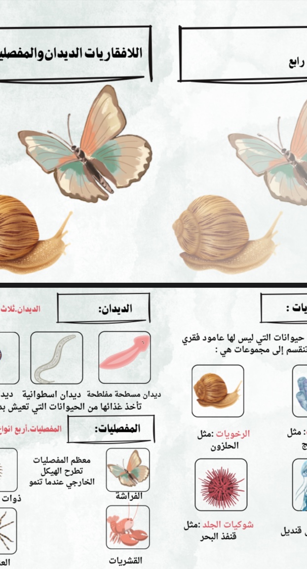 مطوية علوم الافقاريات المفصليات الديدان صف رابع الفصل الاول