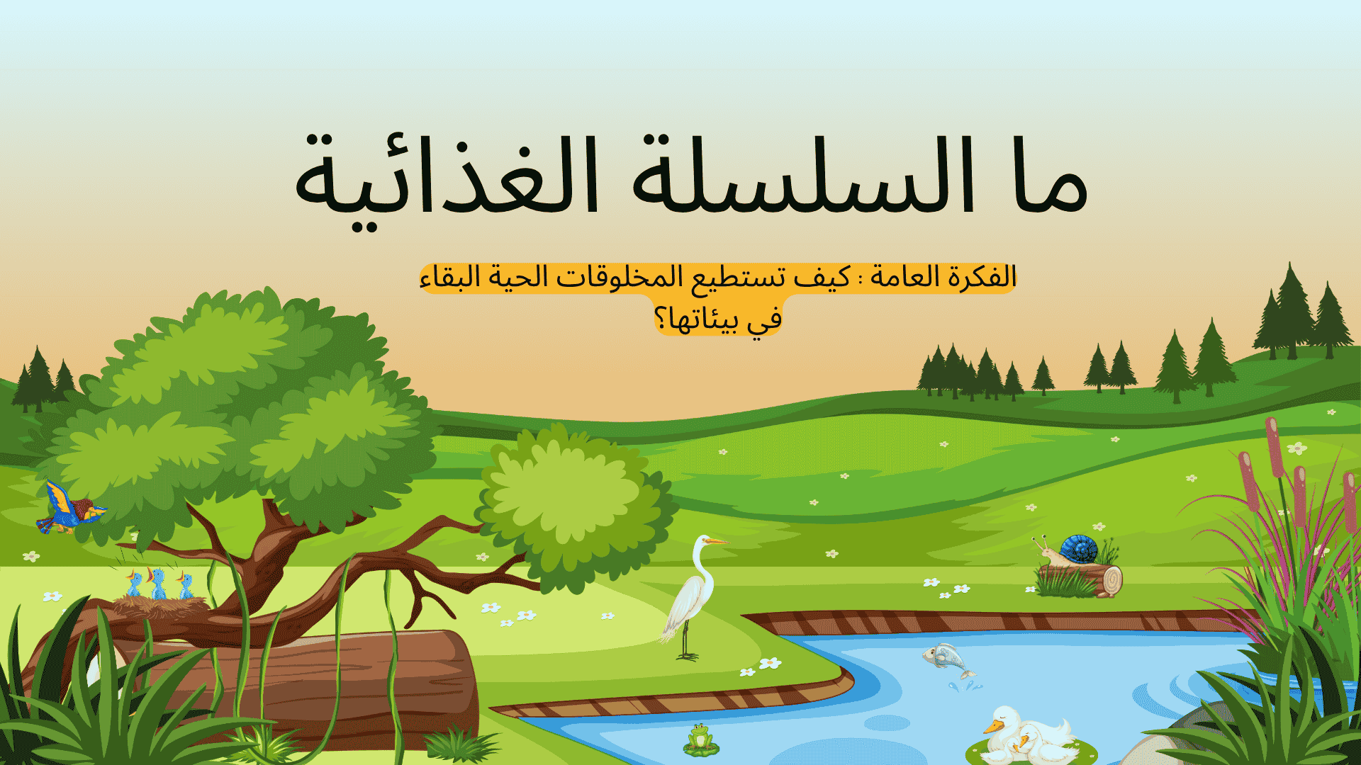 عرض تفاعلي لدرس السلسة الغذائية