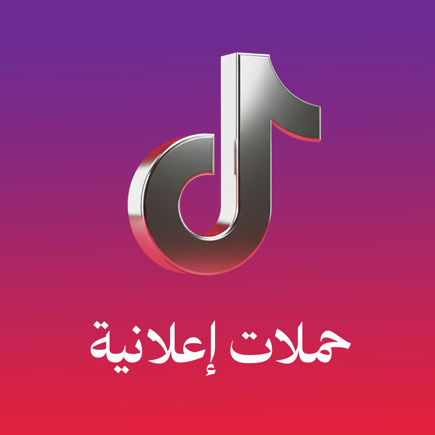 حملات إعلانية تيك توك