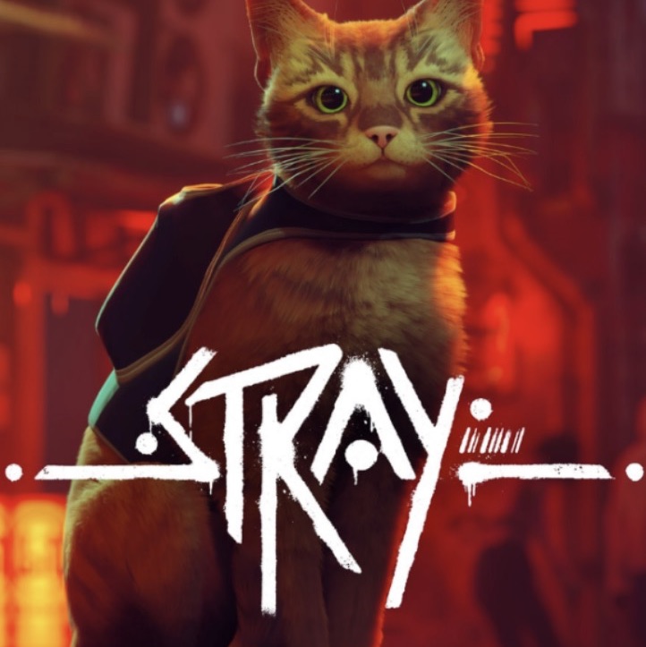 Stray - ستراي