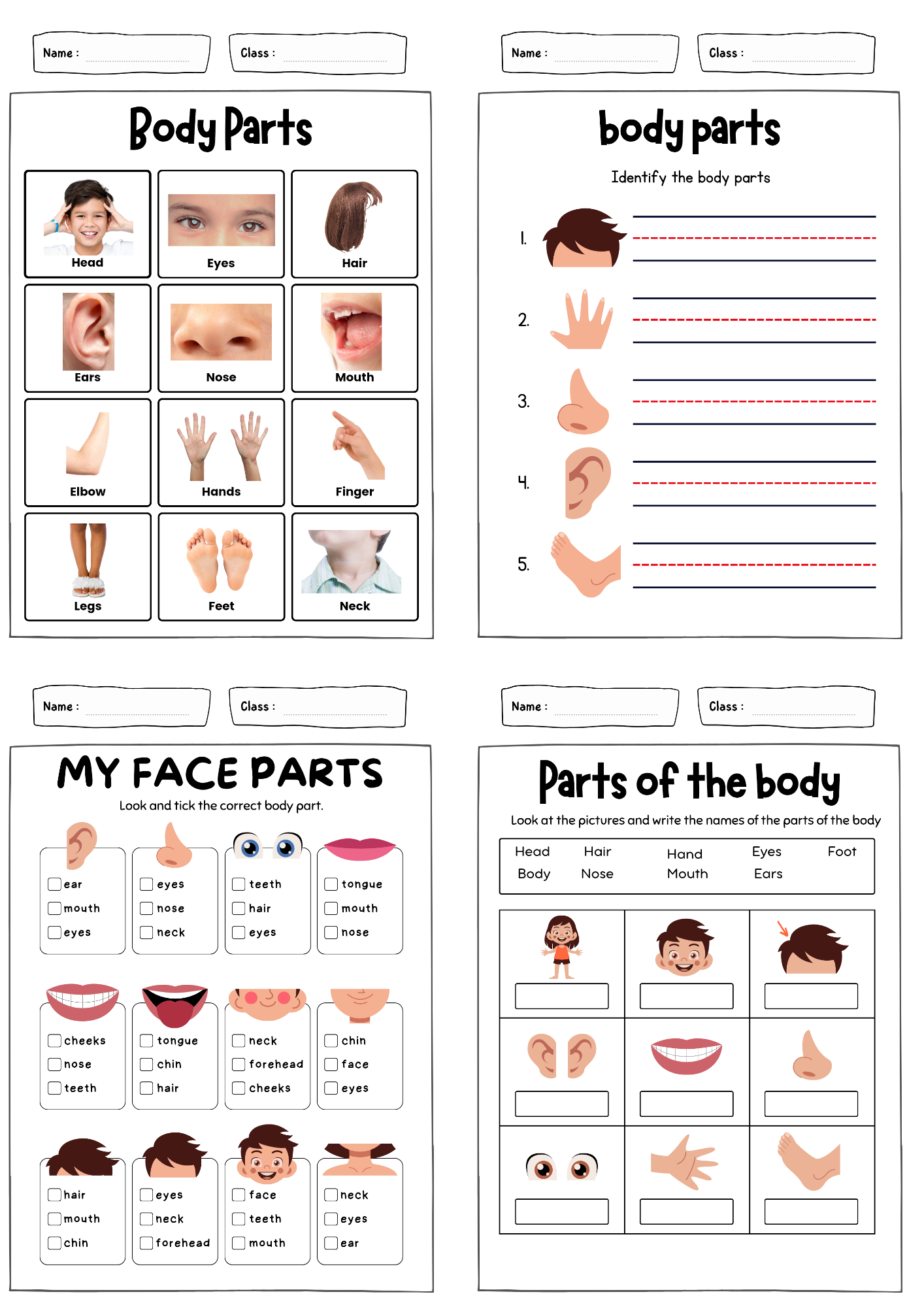 أوراق عمل درس ( my body ) مادة اللغة الإنجليزية pdf