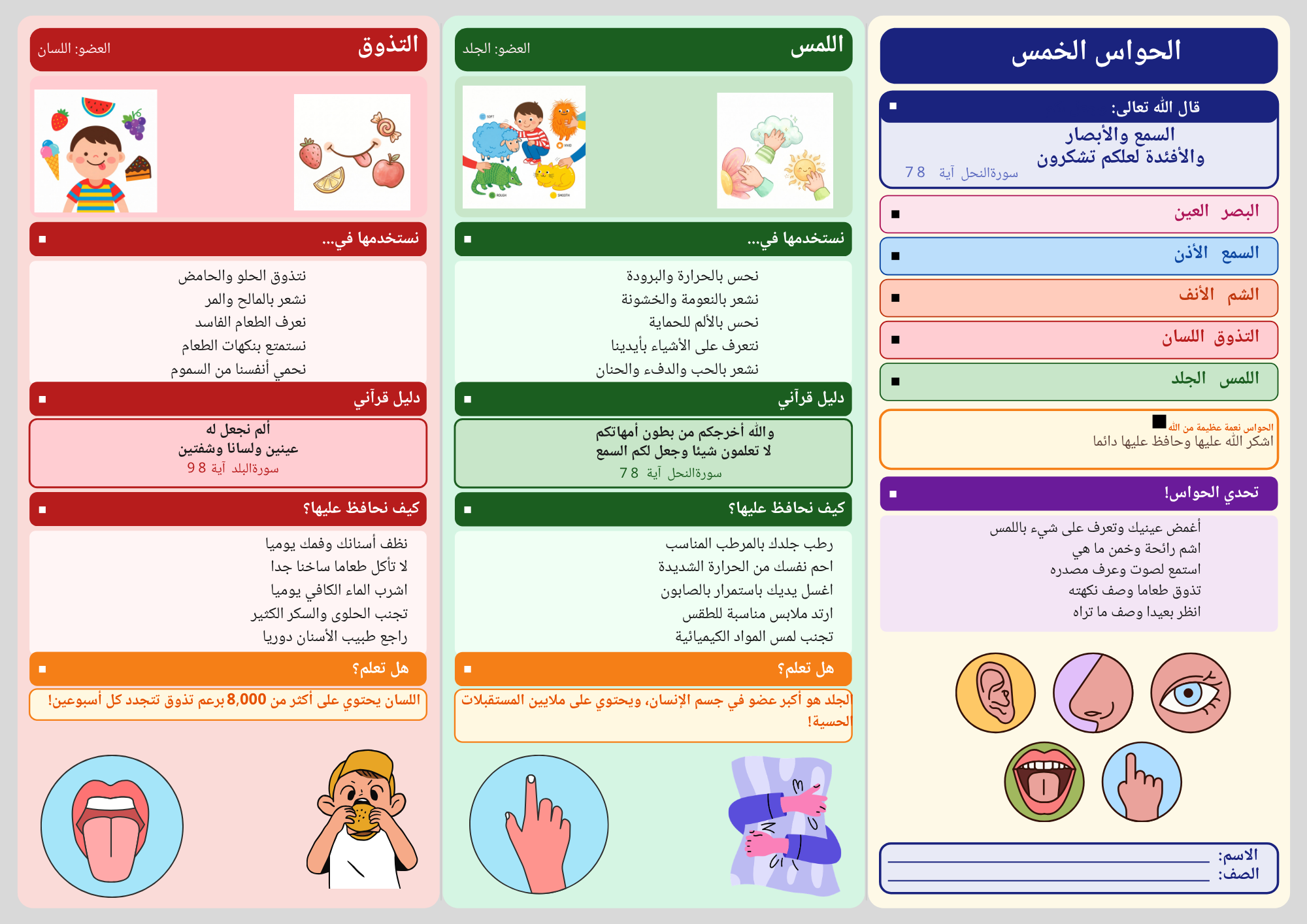 الحواس الخمس
