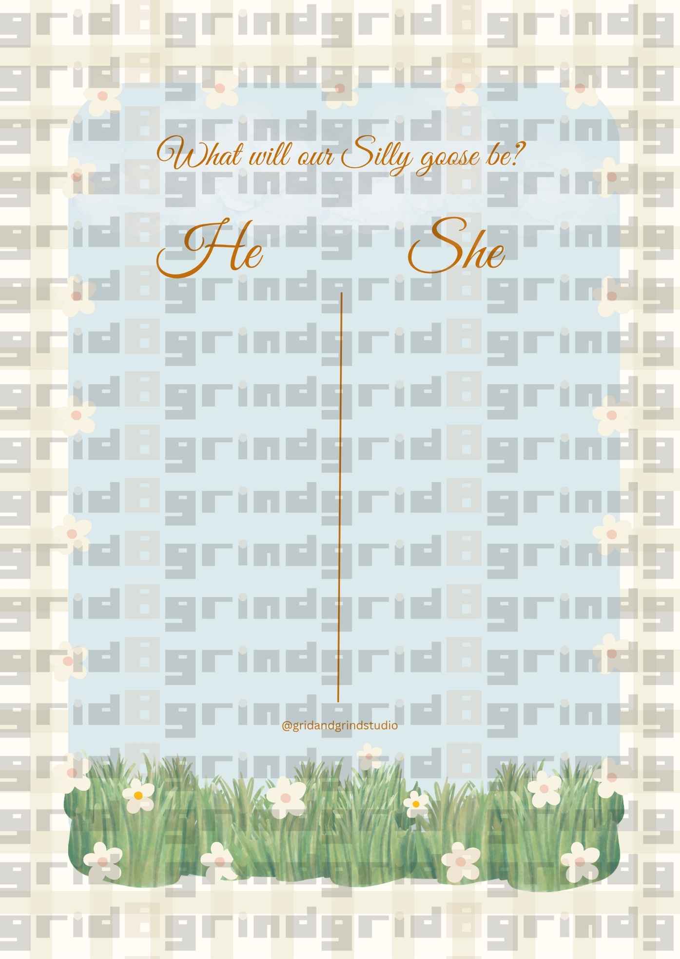 Silly goose themed gender reveal
