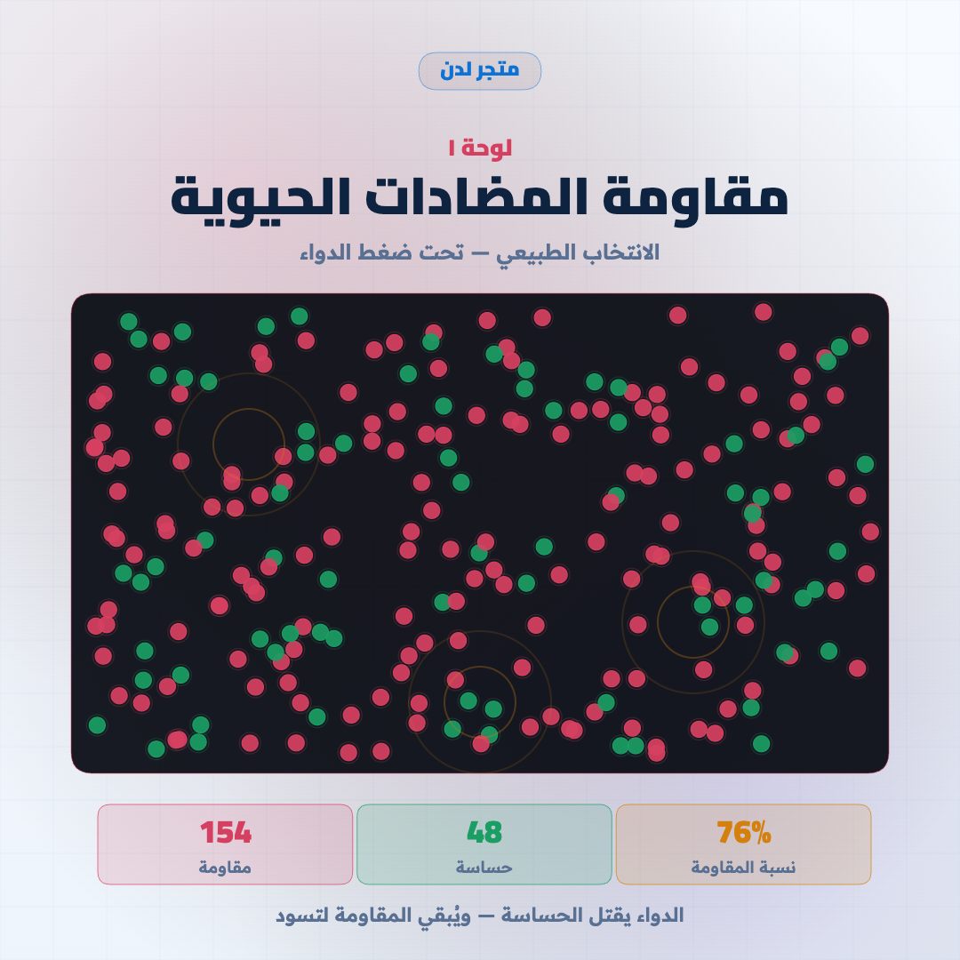 محاكاة تفاعلية: مقاومة المضادات الحيوية ⚔ العاثيات البكتيرية