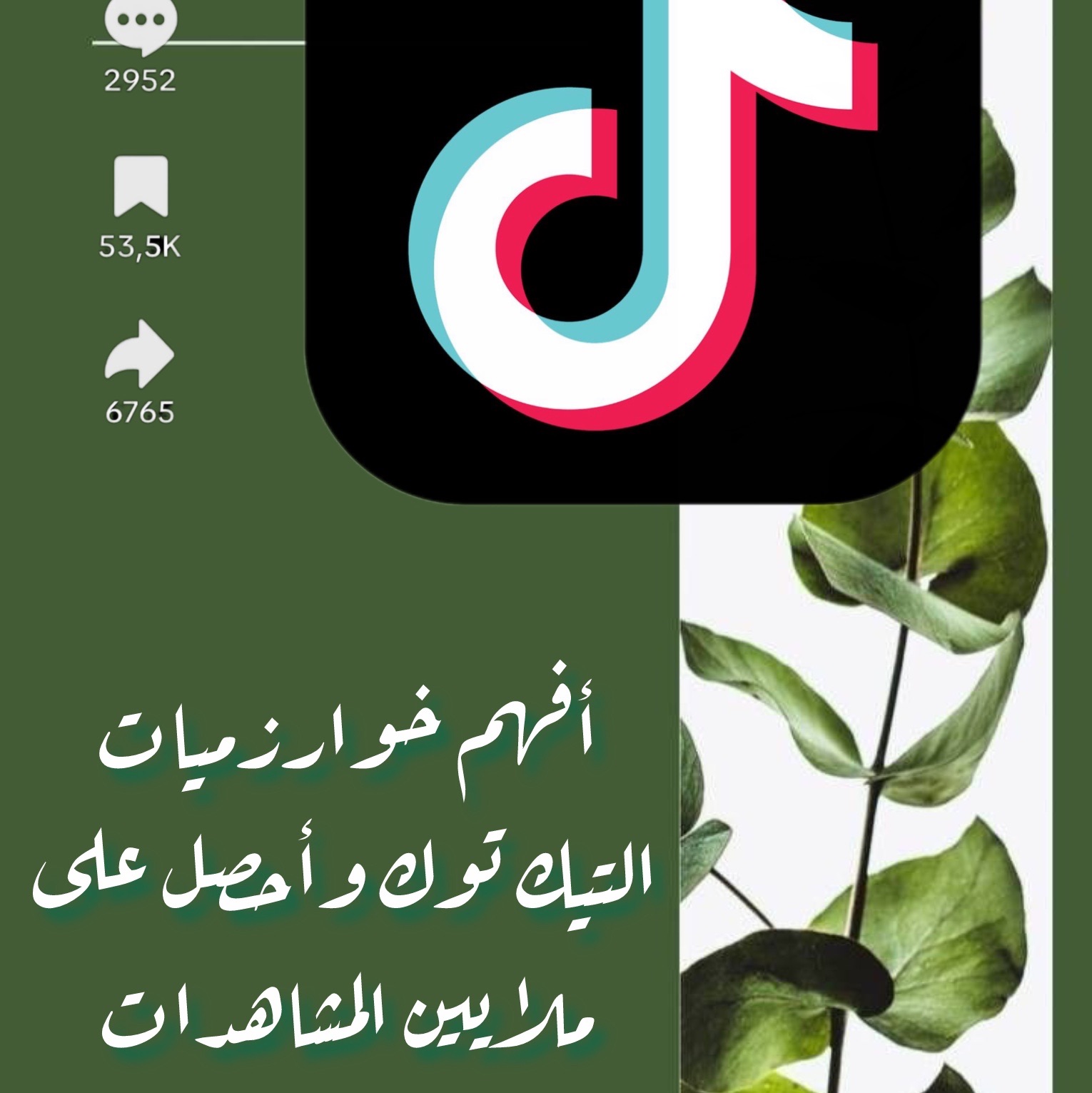 استراتيجية نجاح حسابك على تيك توك وزيادة المشاهدات