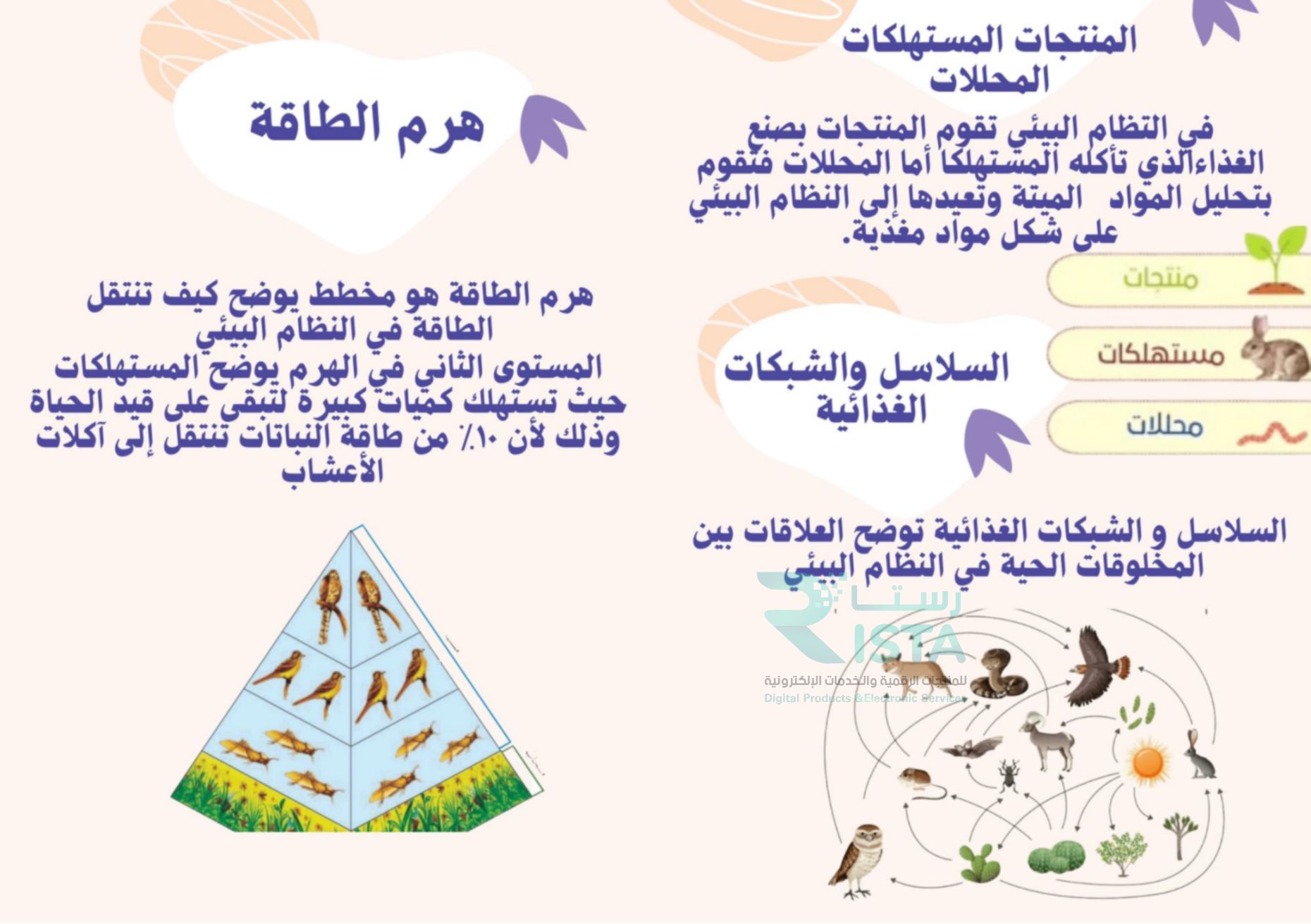 مطوية العلاقات في الأنظمة البيئية علوم رابع ابتدائي  الفصل الدراسي الأول