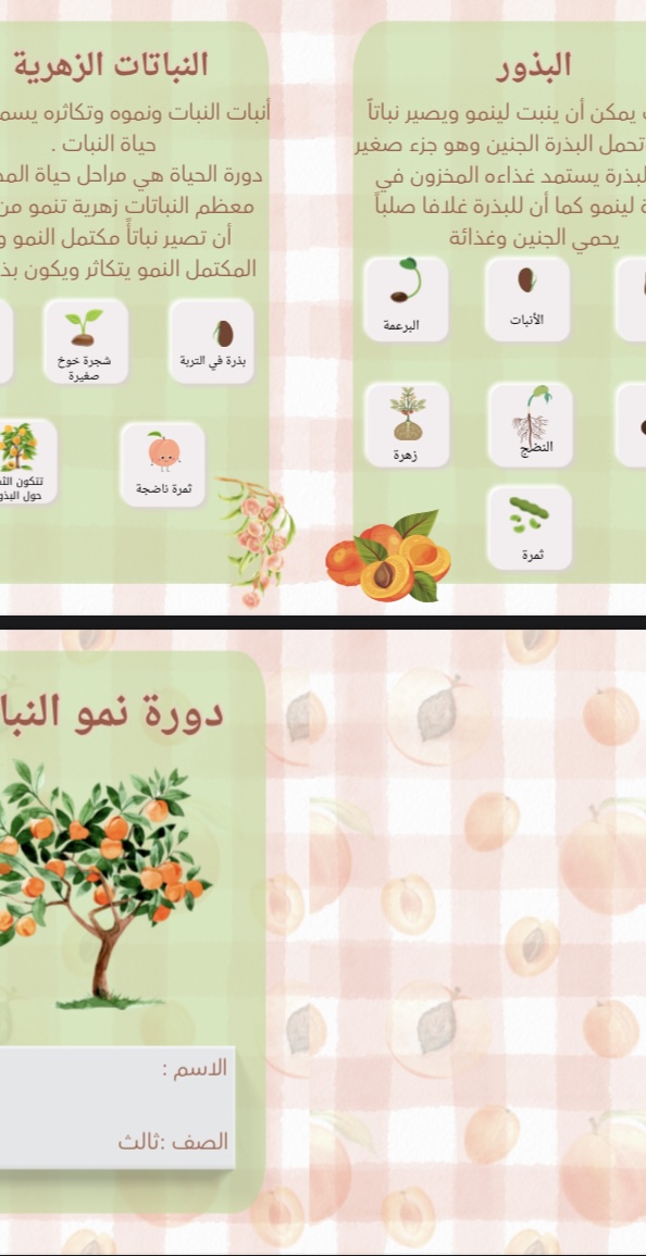 دورة نمو النبات علوم صف ثالث الفصل الاول