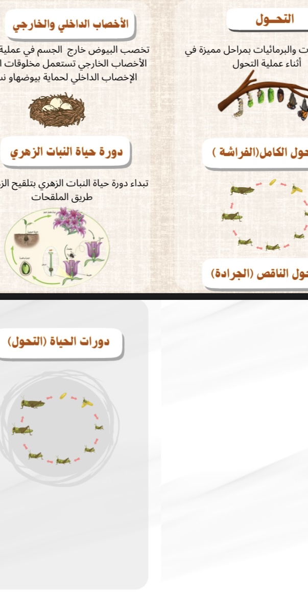 علوم دورات الحياة التحول صف خامس