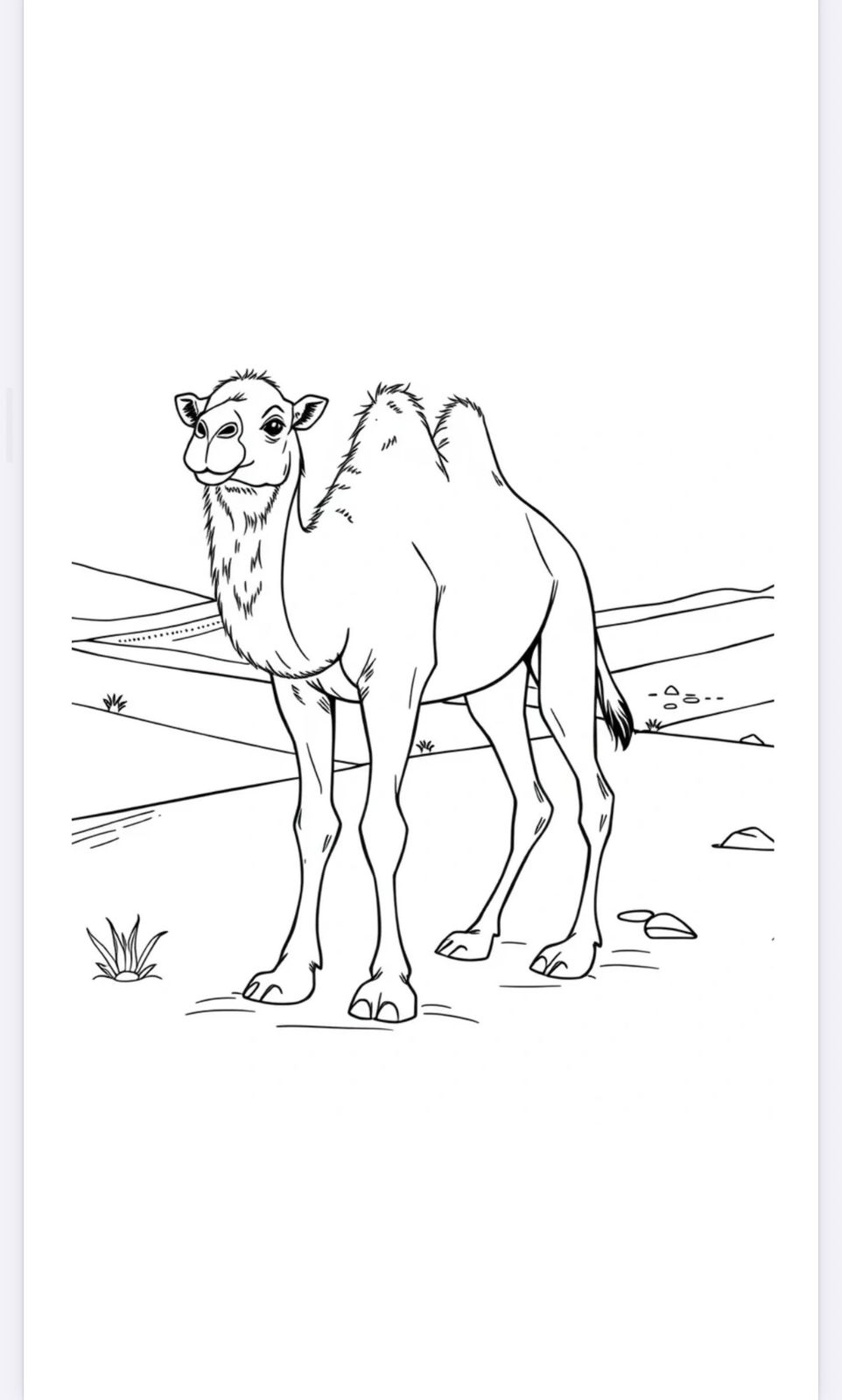 Cute Animal Coloring Adventure – Fun & Easy Activity Book for Kids Ages 3–10