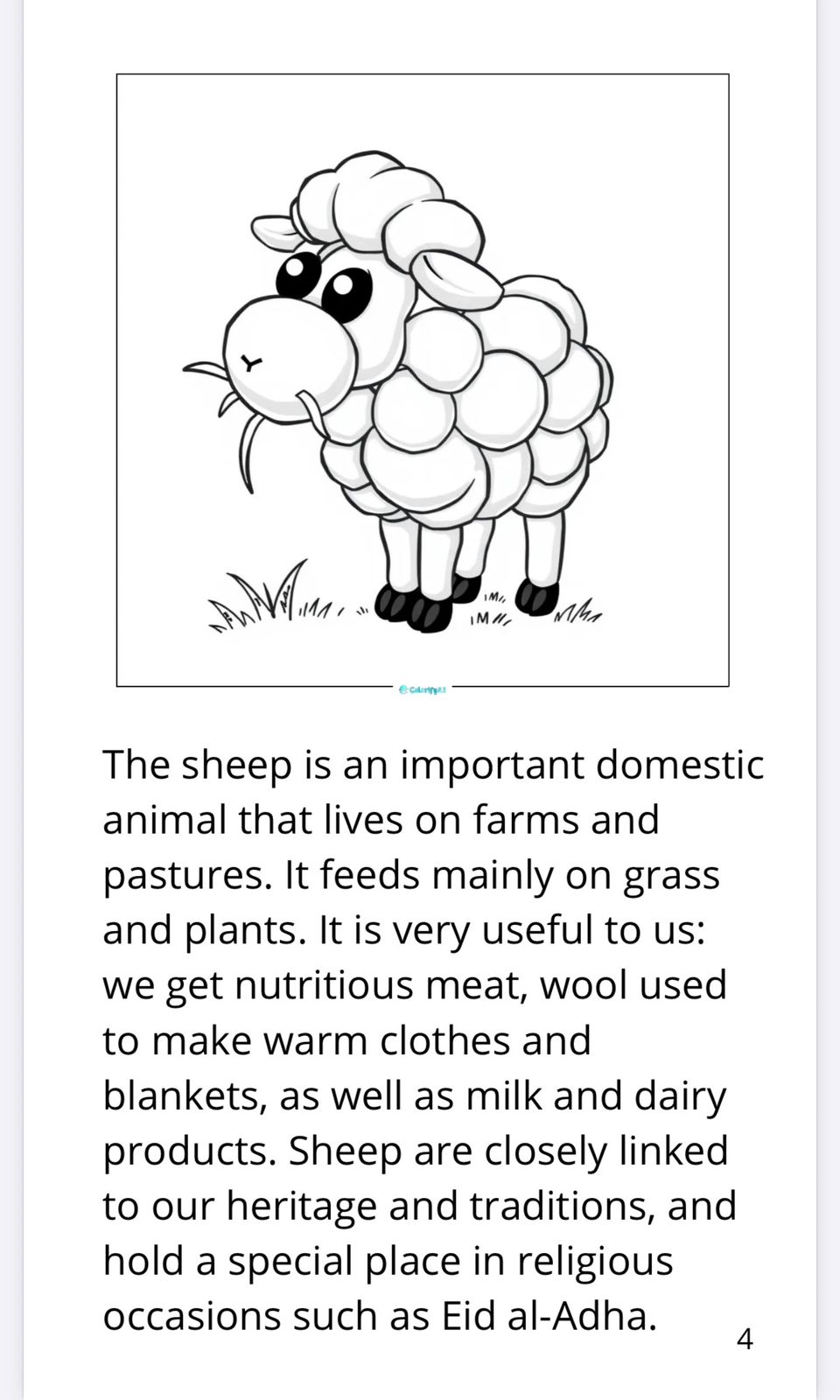 An Adventure with Animals – Fun Coloring & Activity Book for Kids Ages 3–10