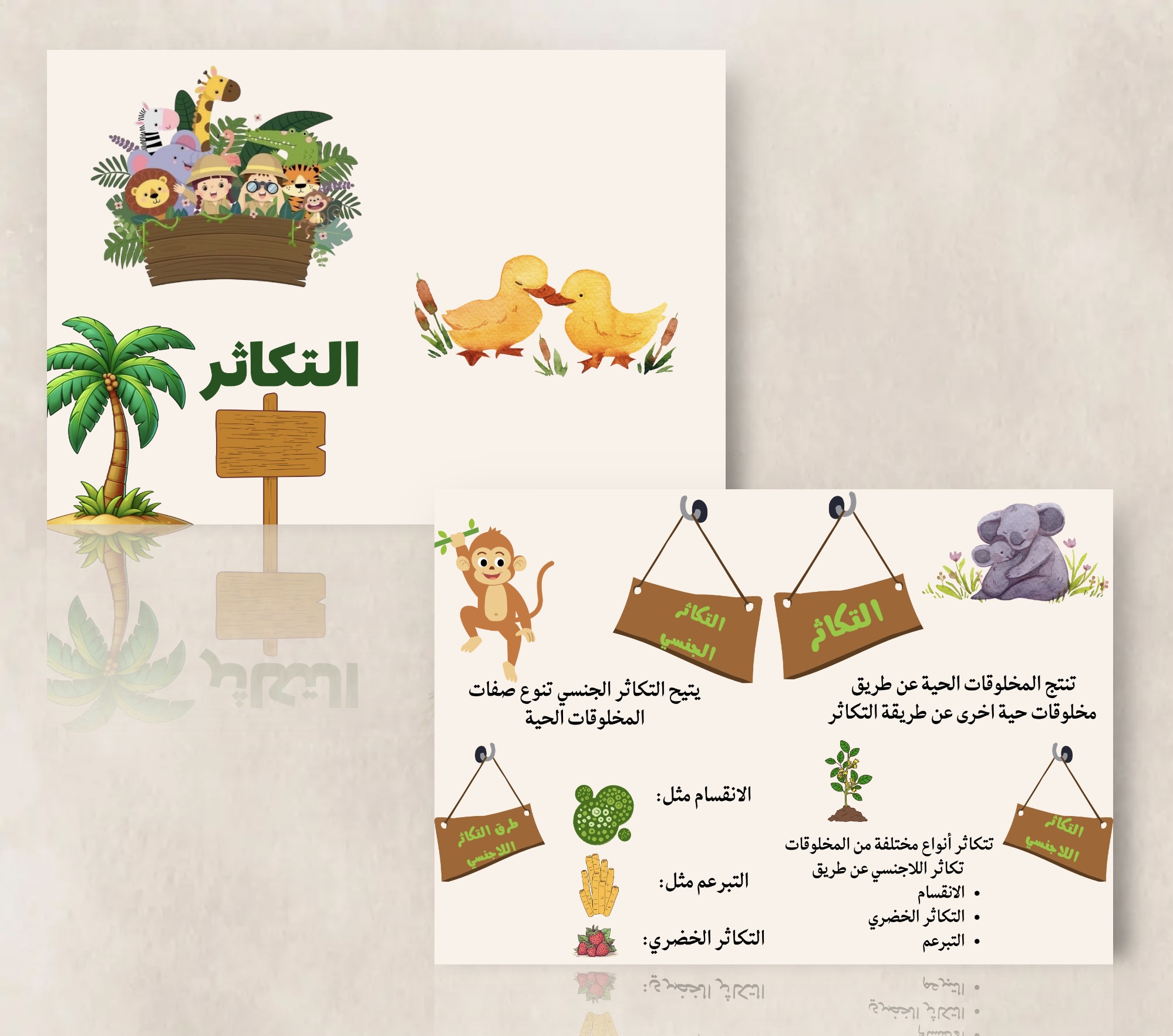 مطويه خامس علوم التكاثر