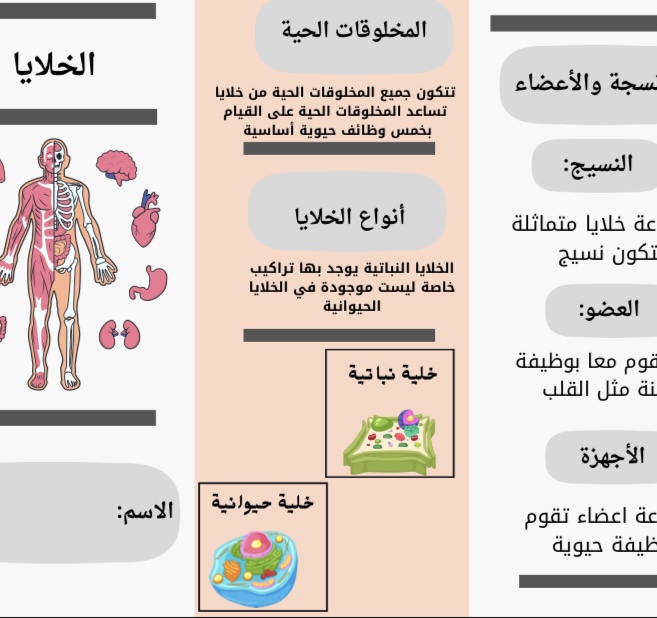 مطوية علوم درس الخلايا صف رابع الفصل الاول