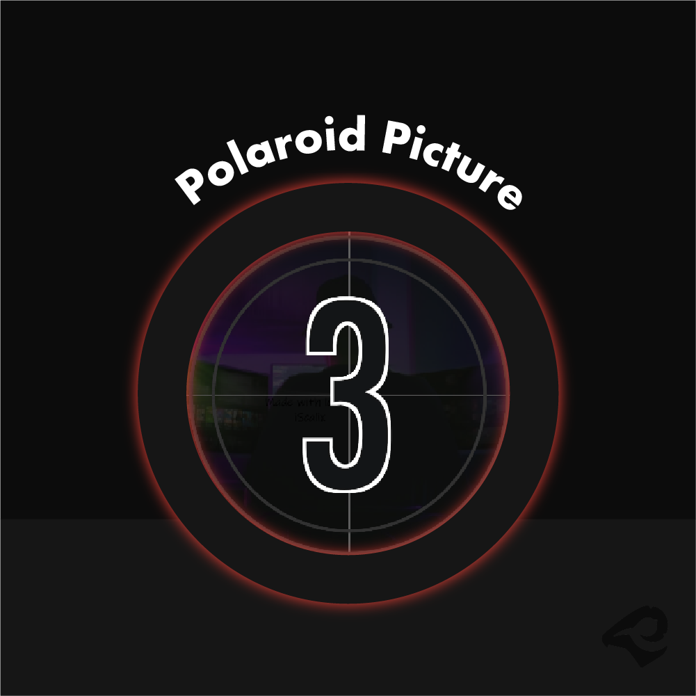 Polaroid Picture