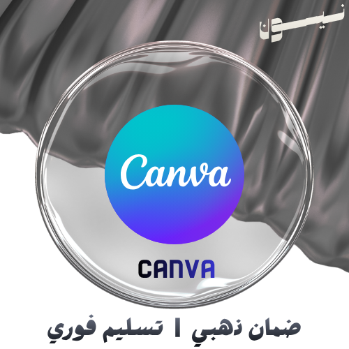 كانفا برو
