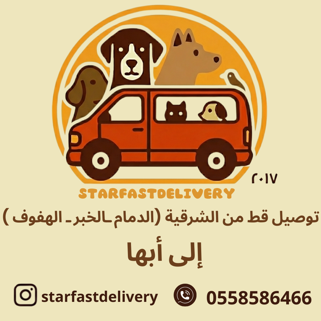 توصيل قط من الشرقية (الدمام ـالخبر ـ الهفوف ) لأبها