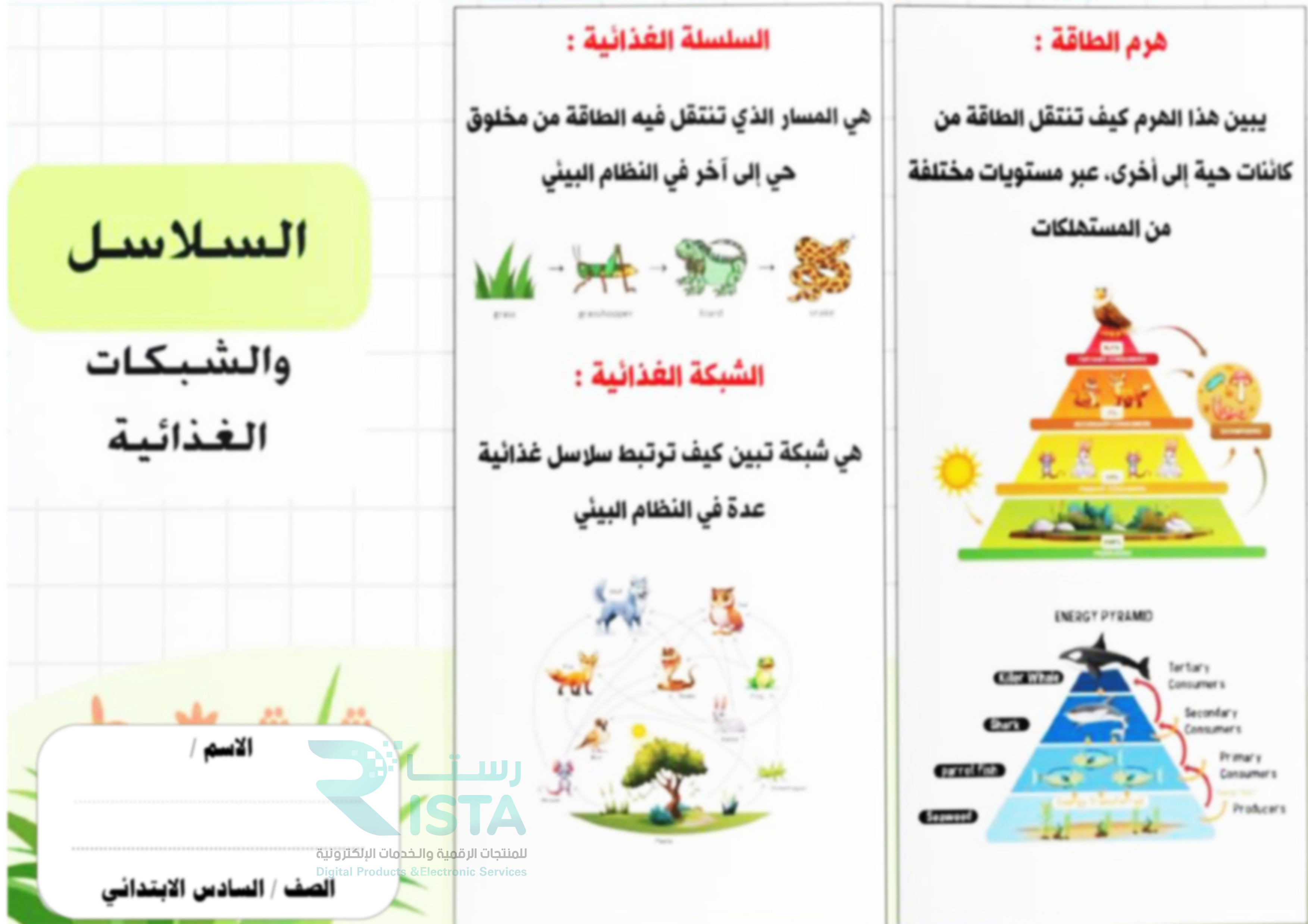مطوية السلاسل والشبكات الغذائية علوم الصف السادس الإبتدائي