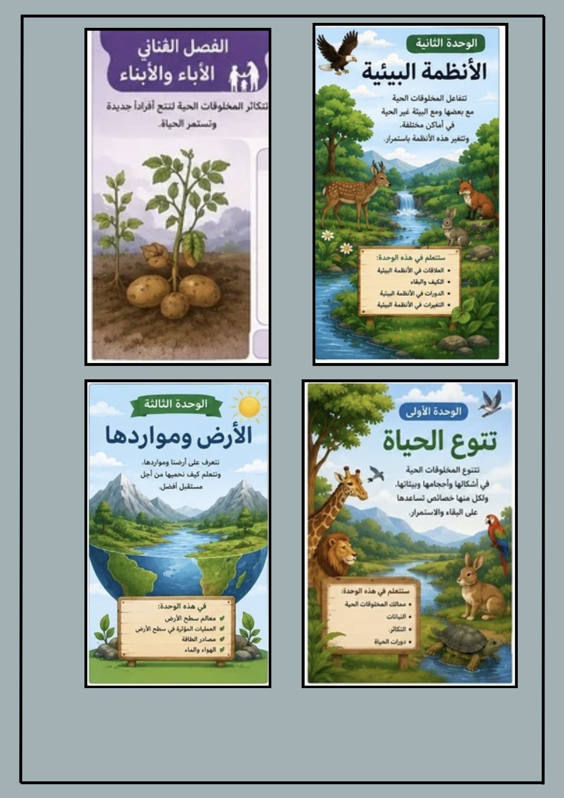 مطوية العلوم الصف الخامس الفصل الدراسي الأول