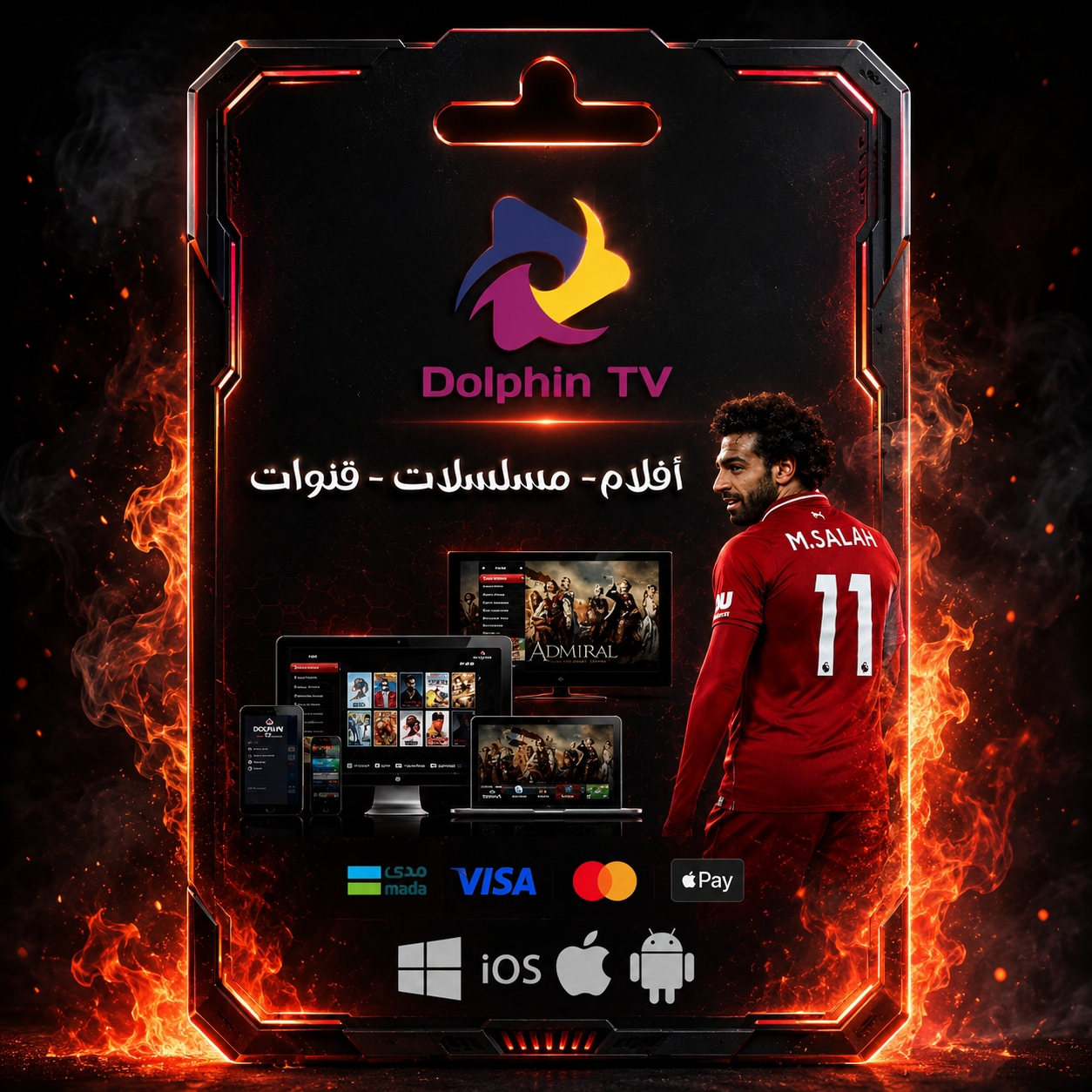 Dolphin tv