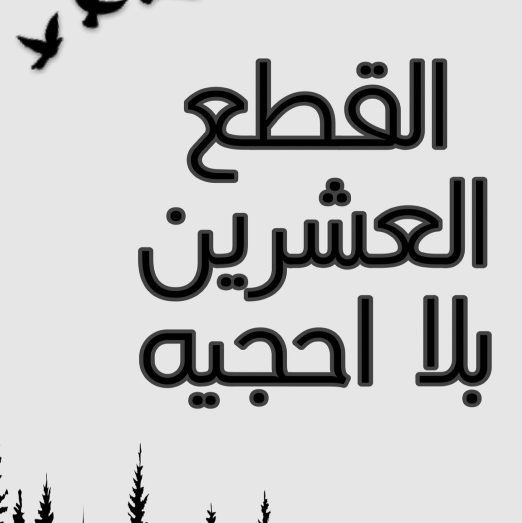 القطع العشرين بلا أحجية