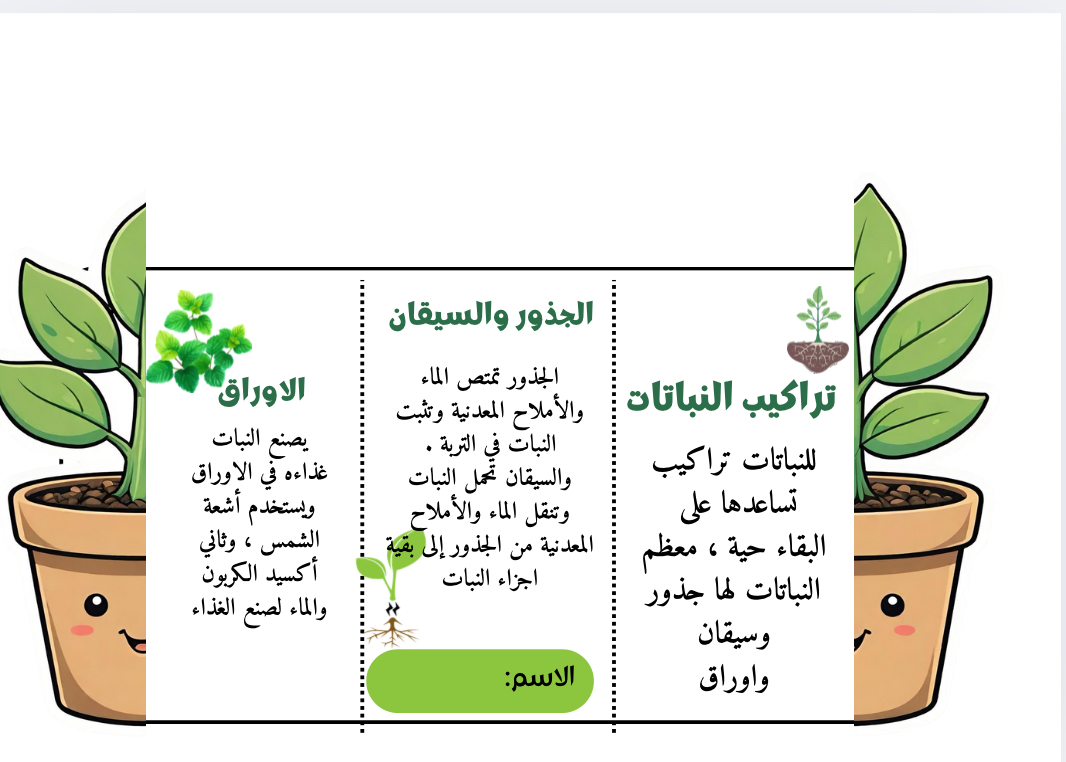 مطوية علوم الصف الثالث تراكيب النباتات