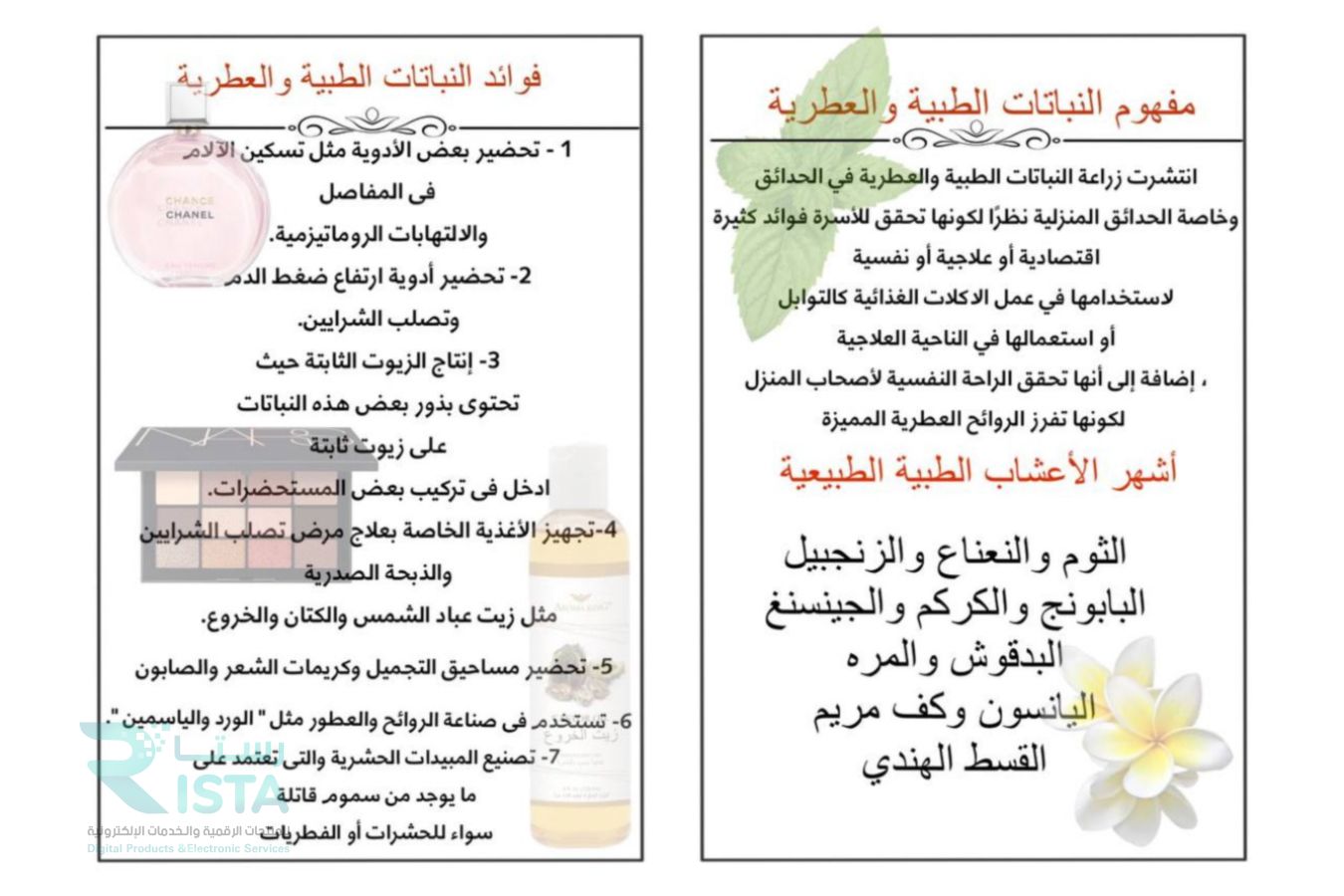 مطوية الاستفادة من النباتات في صناعة الأدوية والعطور لغتي رابع ابتدائي  الفصل الدراسي الأول