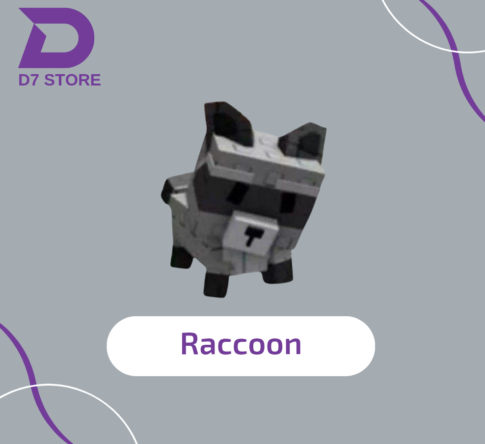Raccoon