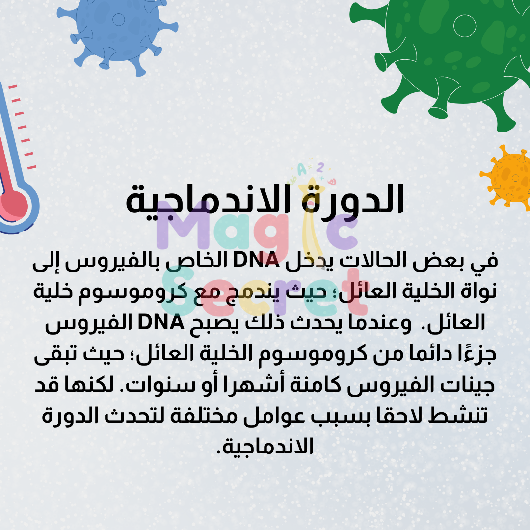 مطوية ادورة الاندماجية