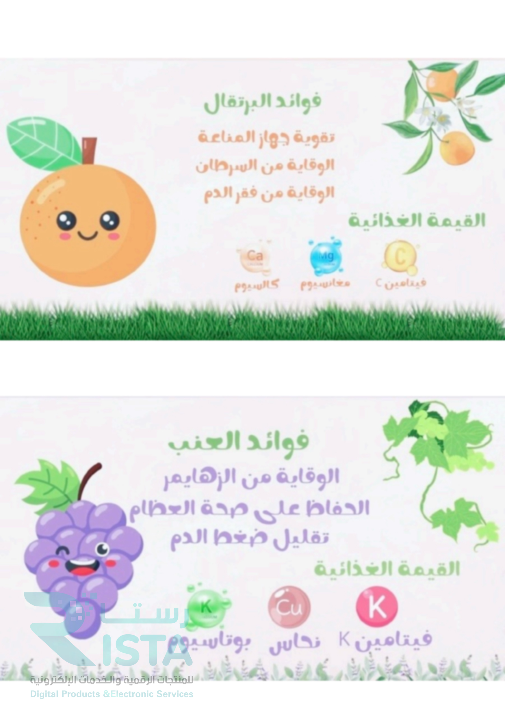 مطوية الفواكة و الخضروات مهارات أسرية رابع ابتدائي  الفصل الدراسي الأول