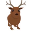 Reindeer