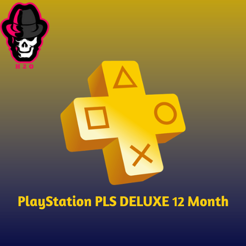 Playstation PLS DELUXE 12 Month