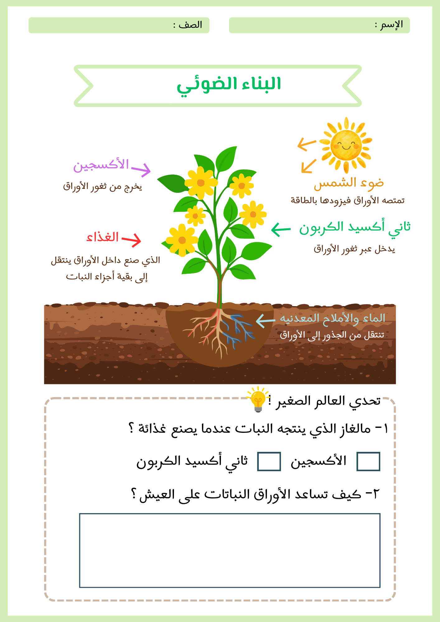 أوراق عمل درس ( النباتات وأجزائها ) علوم ثالث إبتدائي pdf