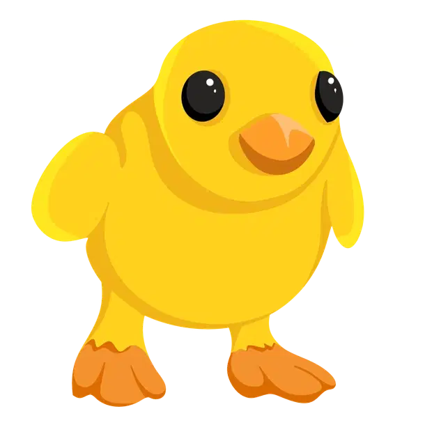Chick