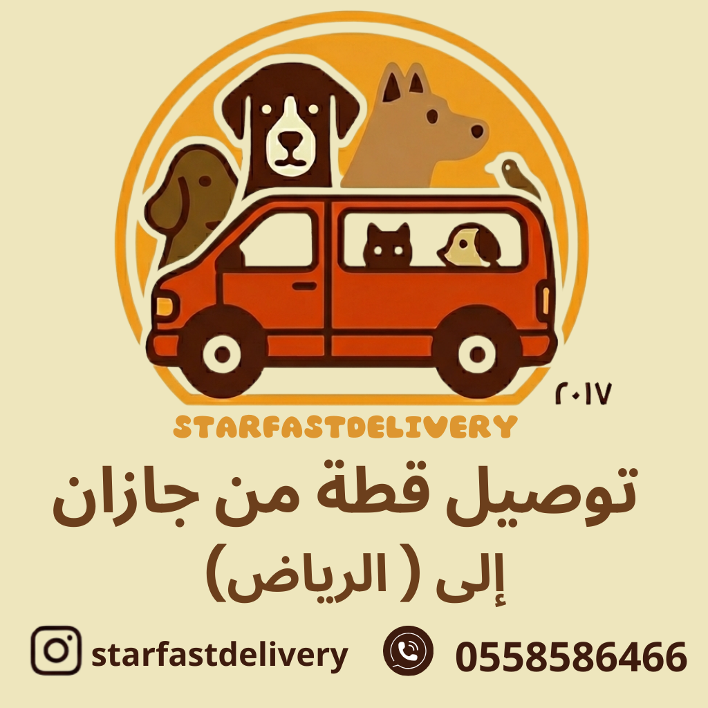 توصيل قطة من جازان للرياض