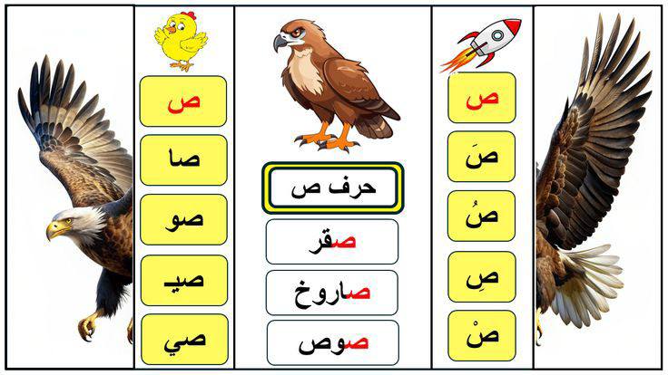 مطوية الحروف حرف الصاد لغتي الصف الاول الابتدائي